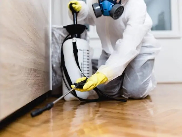 Дезинфекция